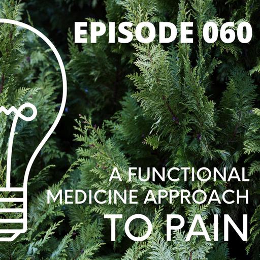060 - A Functional Medicine Approach to PAIN
