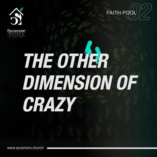 The Other Dimension Of Crazy | FaithFool Wk 2 | Pastor Tolulope Moody