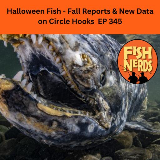 Halloween Fish - Fall Reports & New Data on Circle Hooks EP 345