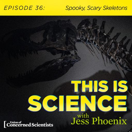 Spooky, Scary Skeletons