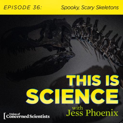 Spooky, Scary Skeletons