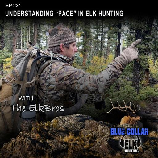 EP 231: Understanding "Pace" in Elk Hunting