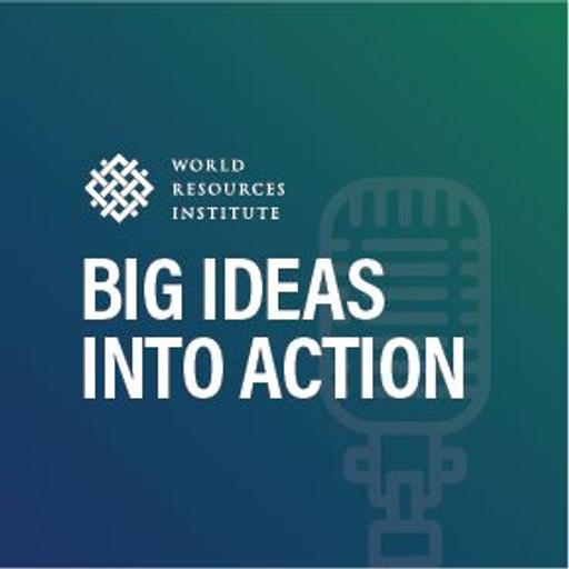 ACT2025: what do climate-vulnerable countries want from COP29?