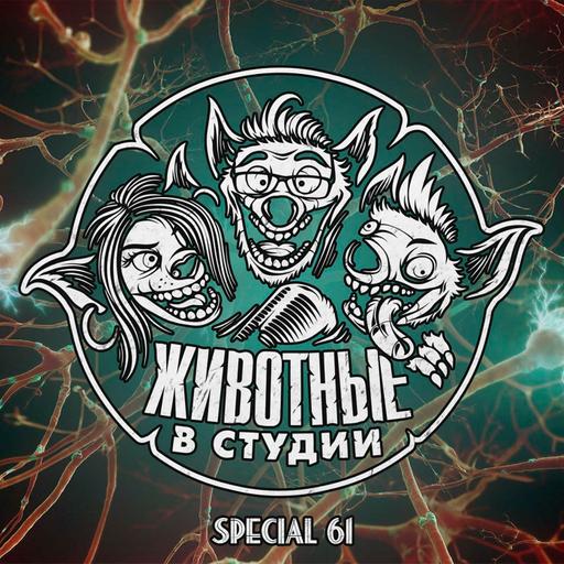 Спецвыпуск 61. Who is Who — с клиническим психологом