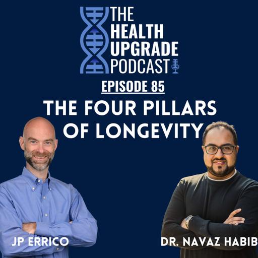 The Four Pillars of Longevity