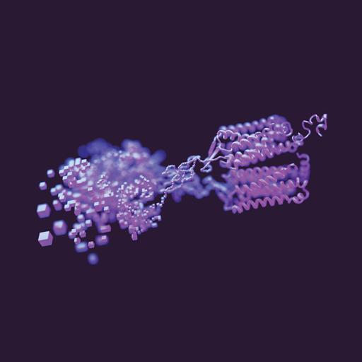 Stereo Chemistry: How the Nobel Prize in Chemistry was won