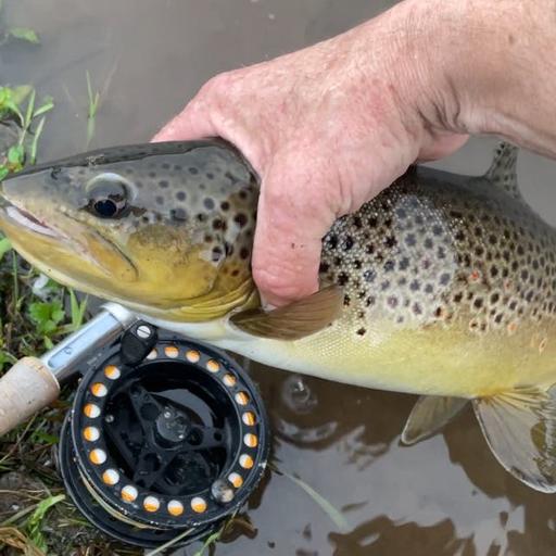 Fly Fishing The West Branch Delaware River