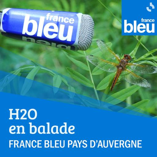 A la découverte des Fourmis Rousses en Livradois avec Audrey Jean du Parc Naturel Régional Livradois Forez