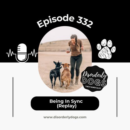 332. Being In Sync (Replay)