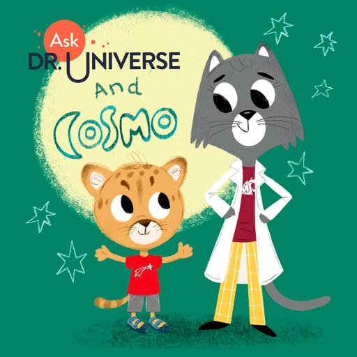 Student-Led Podcasts | Exploring the Past Universe with PPCS