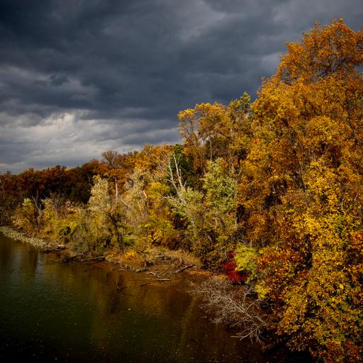 Get Out There: Peeping Leaves in the D.C. Region