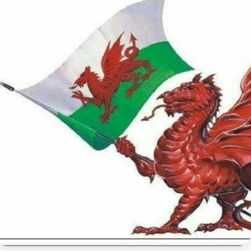 Return Of The Wales Men's Side . . .