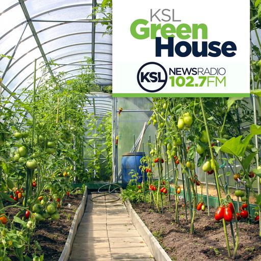 KSL Greenhouse Full Show 11/2/24