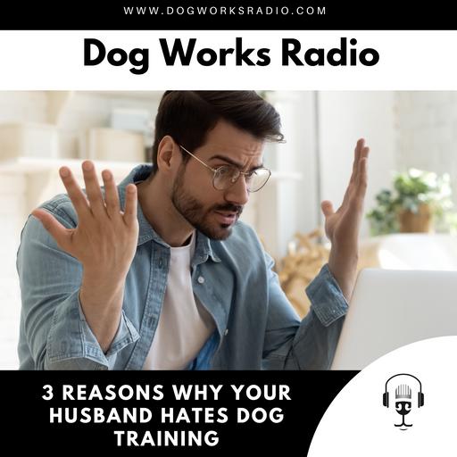 3 Reasons Why Your Husband Won't Like Our Dog Training Services