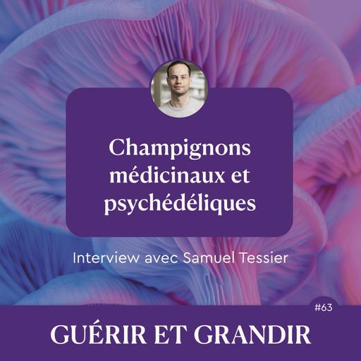 Psychédéliques et champignons médicinaux - Interview avec Samuel Tessier
