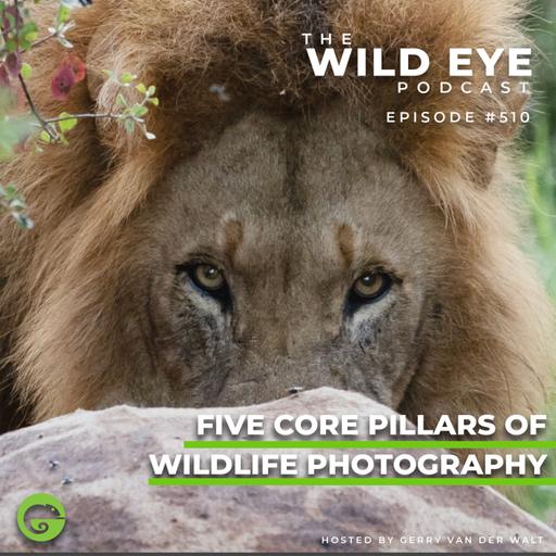 #510 - Five Core Pillars of Wildlife Photography