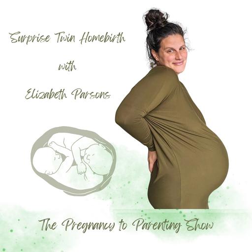 EP 353: Surprise Twin Homebirth with Elizabeth Parsons