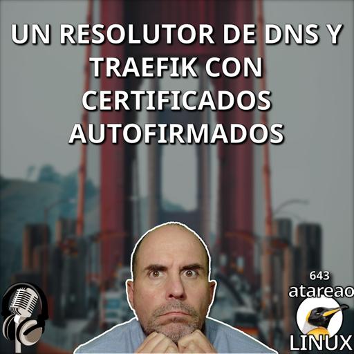 ATA 643 Un resolutor de DNS y Traefik con certificados