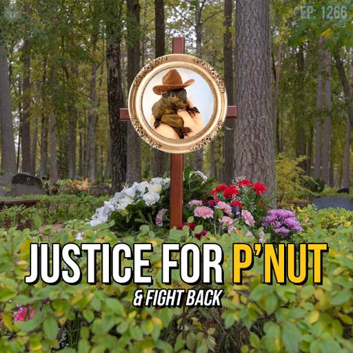 Justice for P’nut & Fight Back | SOTG 1266