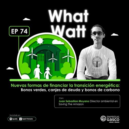 EP 74: Nuevas formas de financiar la transición energética: Bonos verdes, canjes de deuda y bonos de carbono