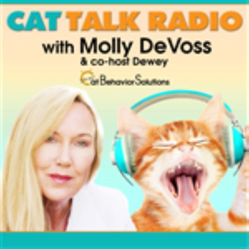 What Kind of Music Do Cats Like?