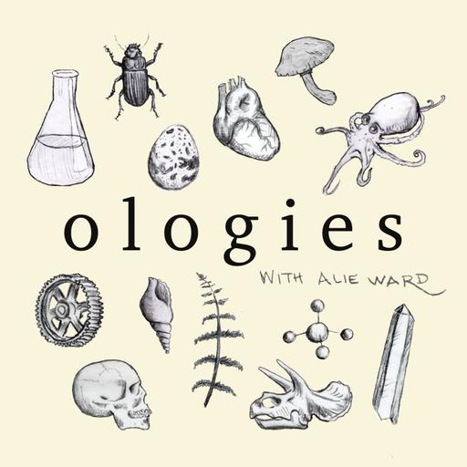 Odonatology (DRAGONFLIES) with Jessica Ware