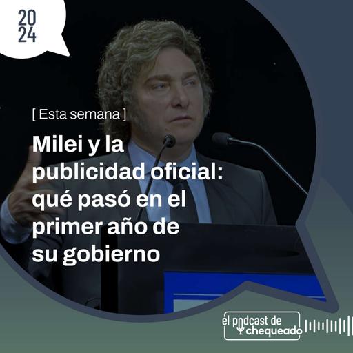 Milei y la publicidad oficial: qué pasó en el primer año de su gobierno