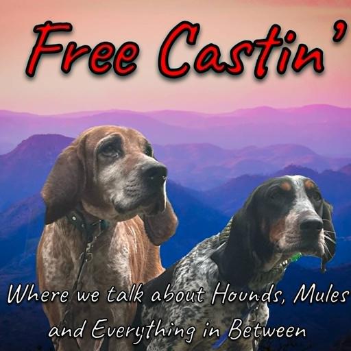 Free Castin' on Why? Part 2