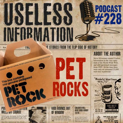 Pet Rocks - UI Podcast #228