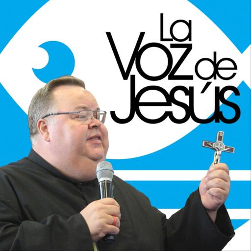 Vivir el Santo Evangelio : 8 de Noviembre 2024 #241108