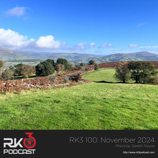 RK3 100: November 2024