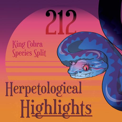 212 King Cobra Species Split