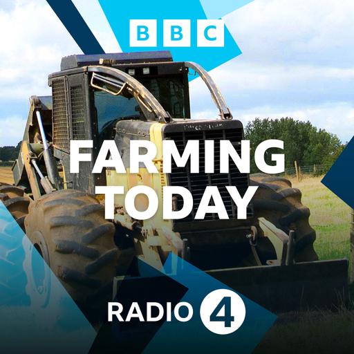 09/11/24 Farming Today This Week: Saltmarshes, Treating Sheep Disease, Budget Reaction