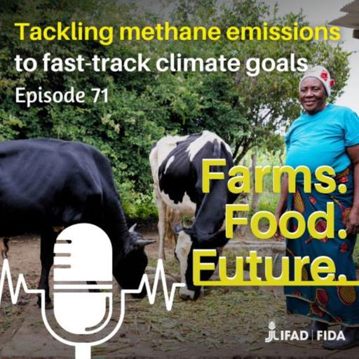 Tackling methane emissions to fast-track climate goals