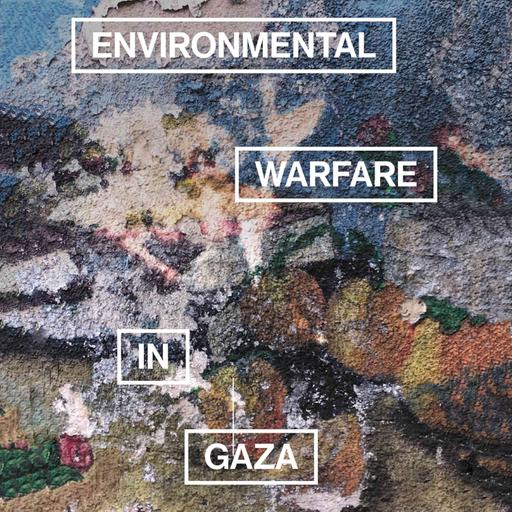 Environmental Warfare in Gaza: A Conversation with Shourideh Molavi