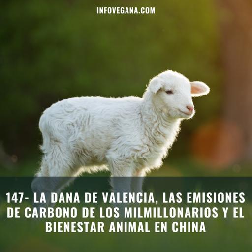 147- LA DANA DE VALENCIA, LAS EMISIONES DE CARBONO DE LOS MILMILLONARIOS Y EL BIENESTAR ANIMAL EN CHINA | Infovegana