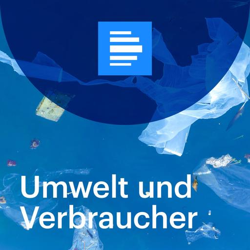 29. Weltklimakonferenz. Das deutsche Angebot. Salz: Gibt es gesündere Varianten?