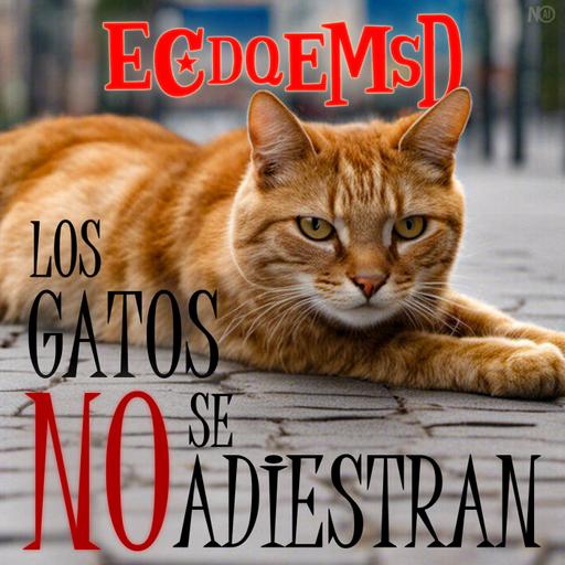 S26 Ep5912: Los Gatos No se Adiestran