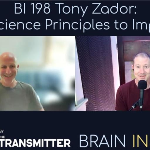 BI 198 Tony Zador: Neuroscience Principles to Improve AI