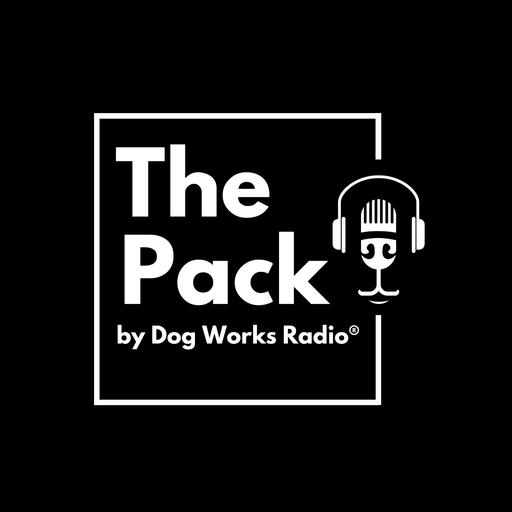 The Pack: A Deeper Dive Into Our 3 Reasons Husbands Won't Like Our Dog Training