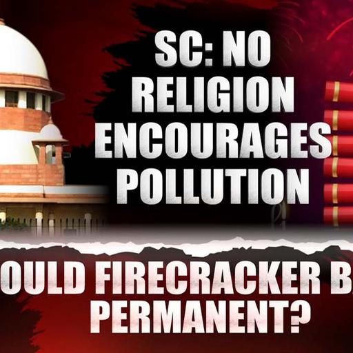 Should Firecracker Ban Be Permanent?