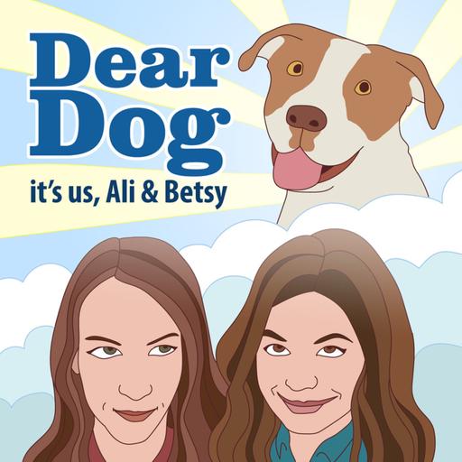 Ep. 153 - 2 Veterinarians and Ali and Betsy Walk into a Bar