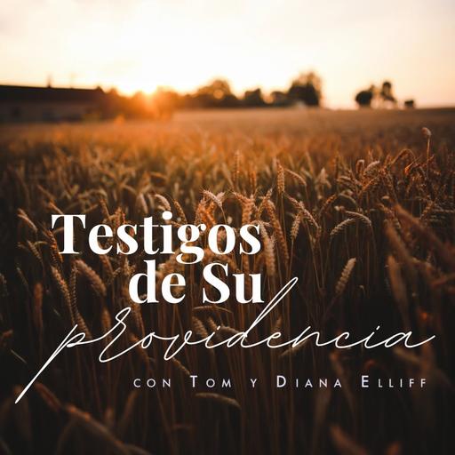 Puedes confiar en Dios al enfrentar una pérdida