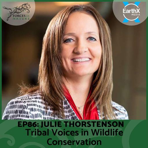 Tribal Voices in Wildlife Conservation with Julie Thorstenson, Ep. 86