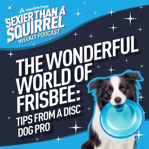 The Wonderful World of Frisbee: Tips from a Disc Dog Pro