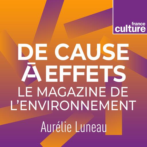 À l'heure de la COP29, bilan et état des lieux du monde fossile