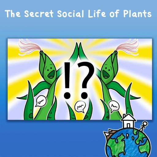 The Secret Social Life of Plants