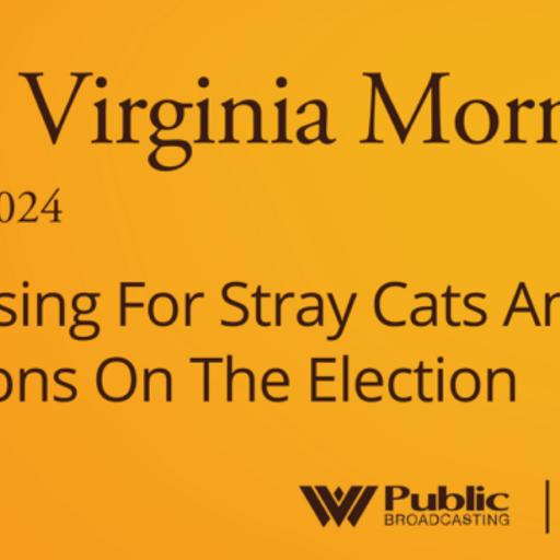 Fundraising For Stray Cats And Reflections On The Election, This West Virginia Morning