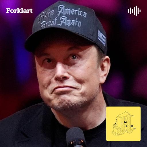 Kan Musk tøyle Trump?