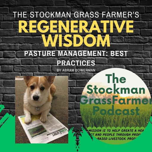 Pasture Management: Best Practices by Abram Bowerman